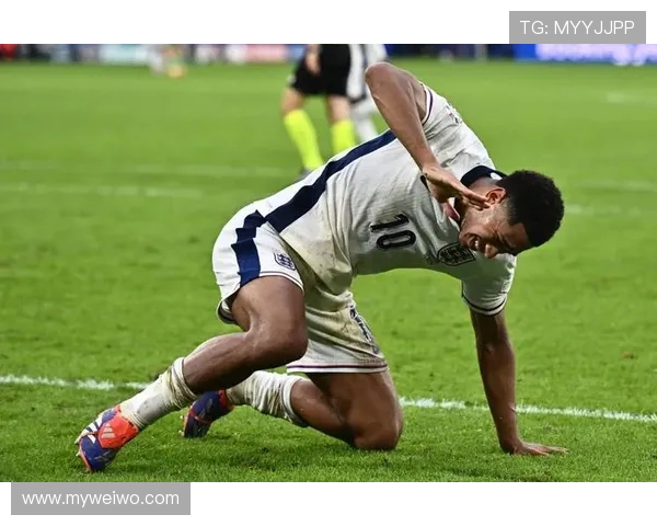 谢菲联俱乐部历史辉煌与未来展望:从英格兰足坛黑马到全球瞩目的足球力量 谢菲联俱乐部历史辉煌与未来展望:从英格兰足坛黑马到全球瞩目的足球力量