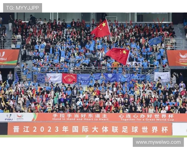 世界杯精彩落幕冠军之争激烈上演球迷热情高涨赛后反响强烈