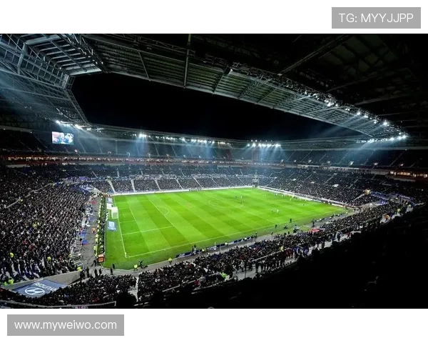 里昂俱乐部：法国足球历史的璀璨明珠与未来发展潜力分析